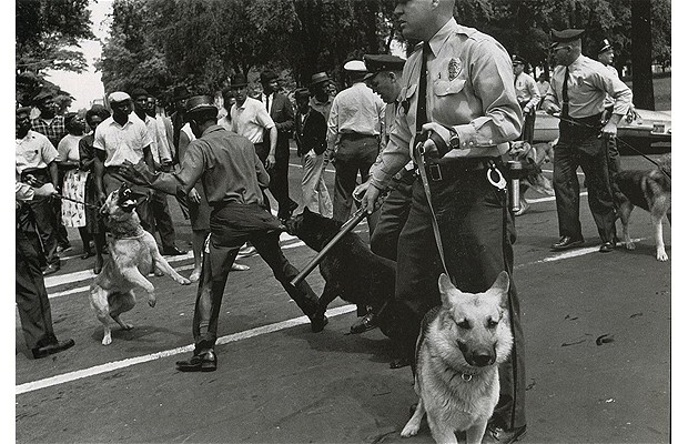 Police_Dogs_Attack_1872706i