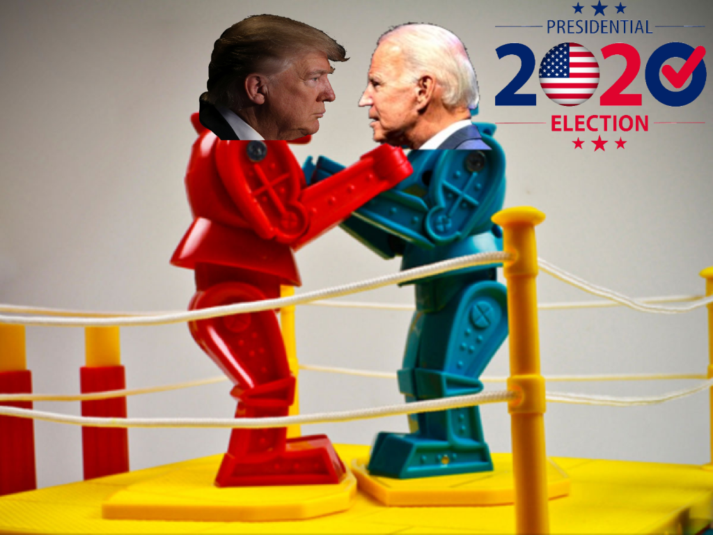 Battle Royale: The 2020&nbsp;Election